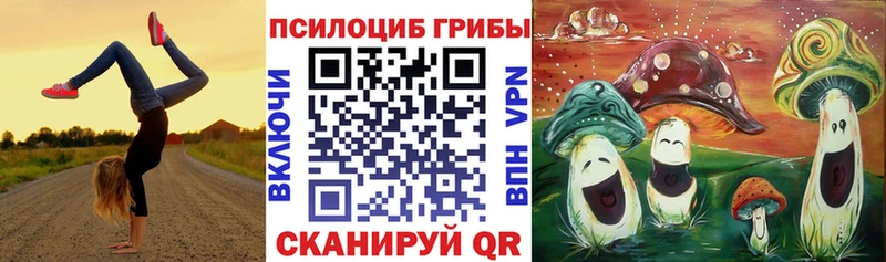 Псилоцибиновые грибы мицелий  магазин  наркотиков  Пошехонье 